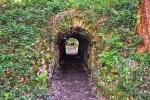 Jesmond Dene Park in Newcastle